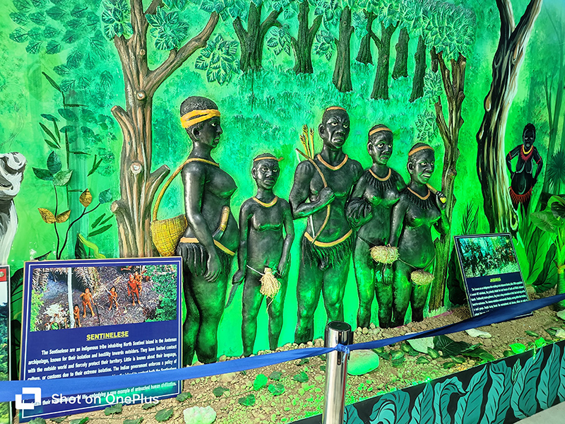 Anthropological Museum